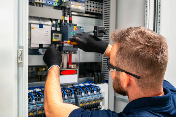 Best Affordable Electrician  in Candlewick Lake, IL