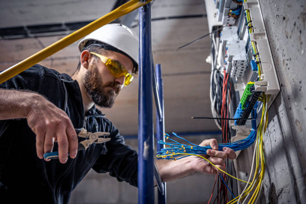 Best Residential Electrician Services  in Candlewick Lake, IL